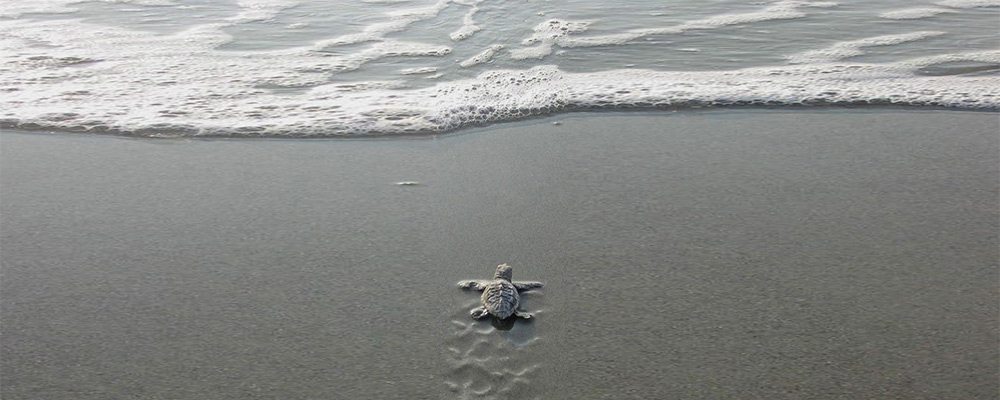 "Don't work for money, make it work for you"